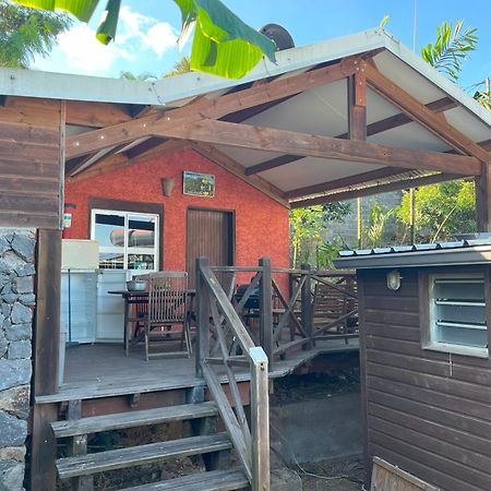 La Bananeraie Apt 35M2 Piscine Jardin Tropical Parking Prive Saint-Leu Eksteriør billede
