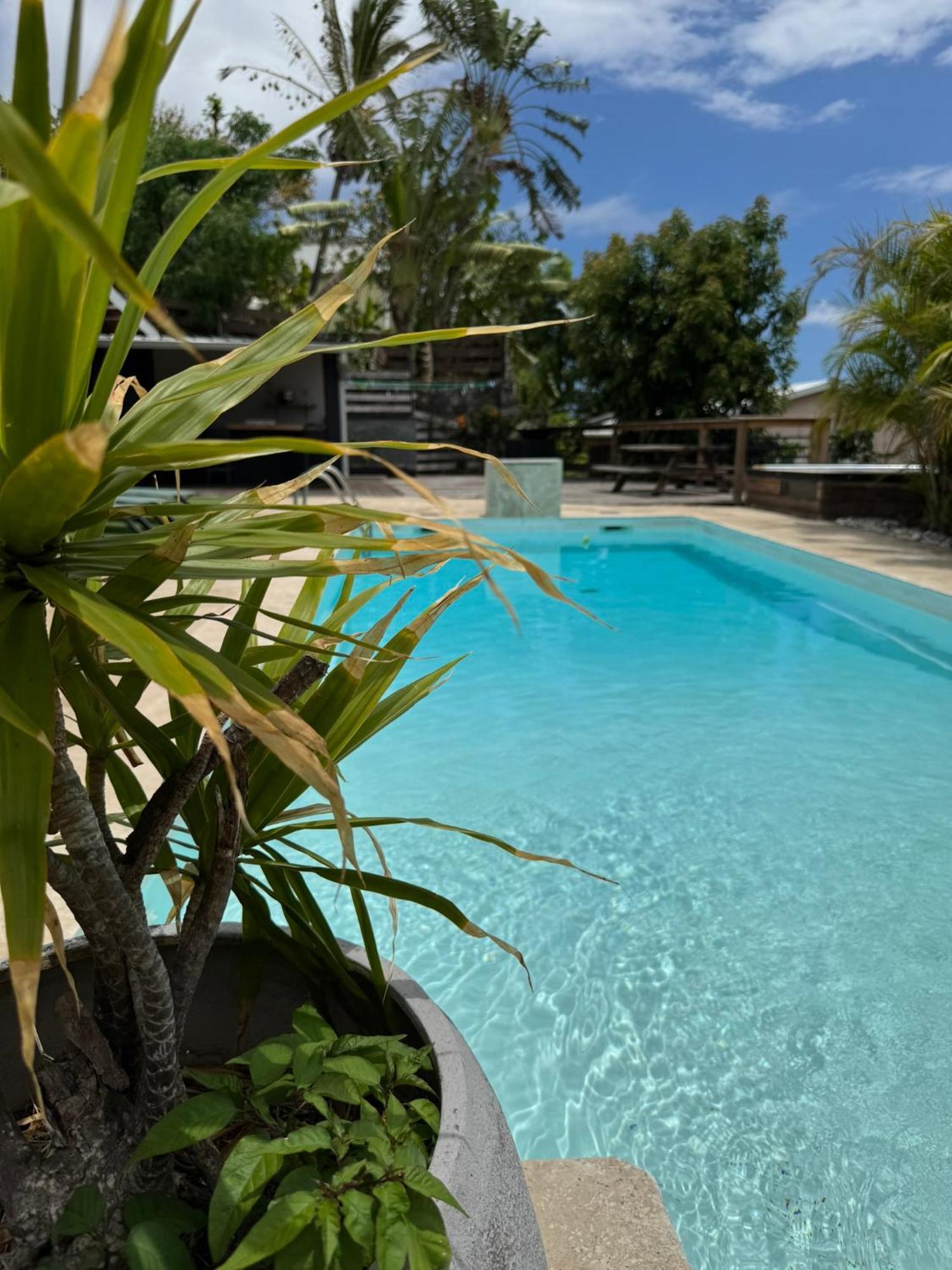 La Bananeraie Apt 35M2 Piscine Jardin Tropical Parking Prive Saint-Leu Eksteriør billede