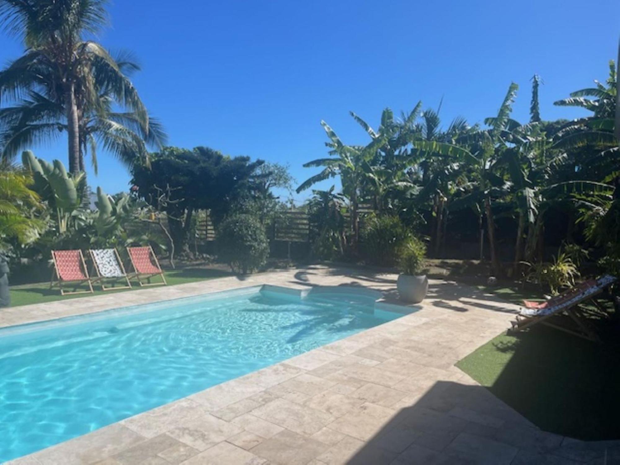 La Bananeraie Apt 35M2 Piscine Jardin Tropical Parking Prive Saint-Leu Eksteriør billede