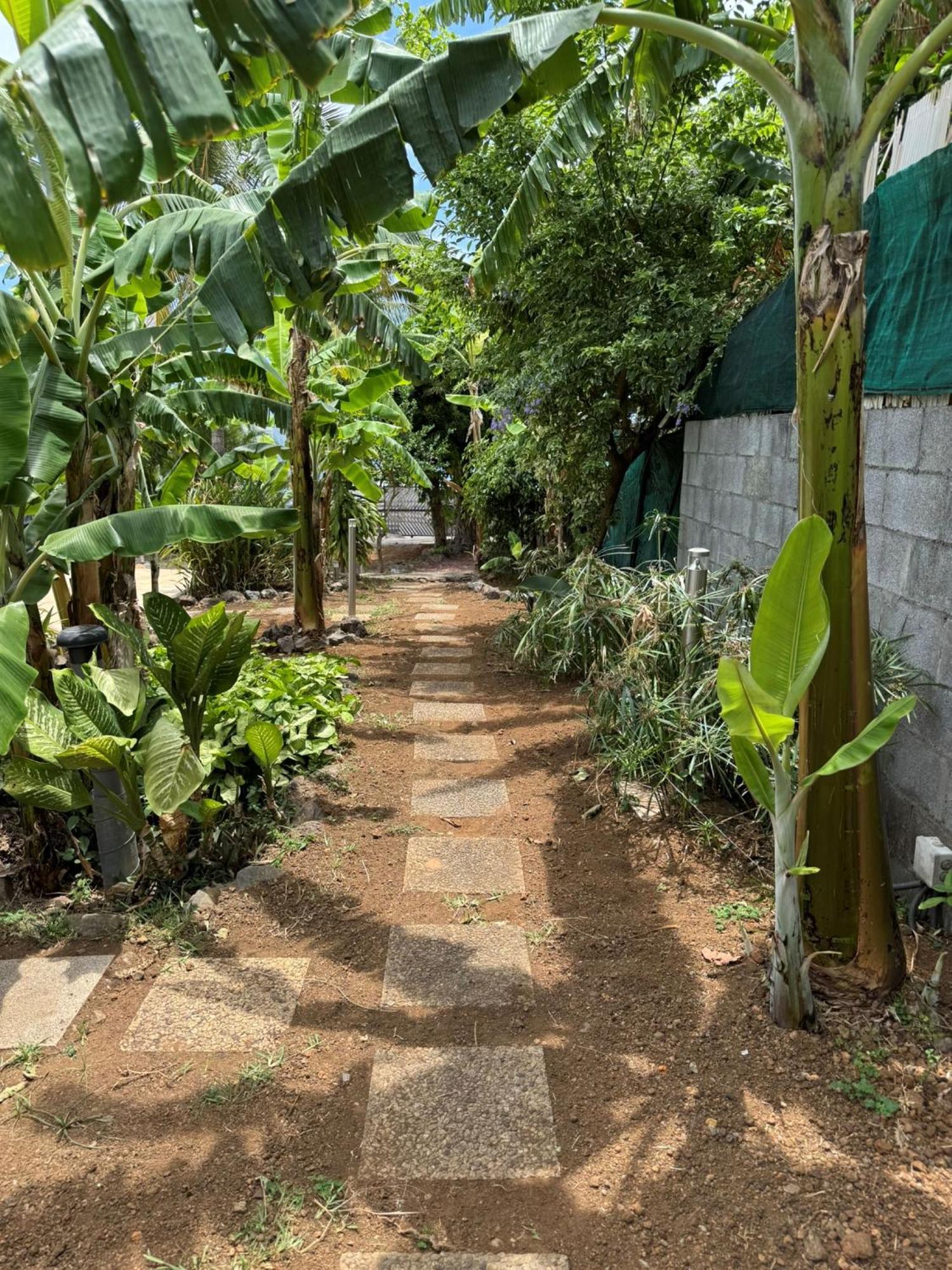 La Bananeraie Apt 35M2 Piscine Jardin Tropical Parking Prive Saint-Leu Eksteriør billede