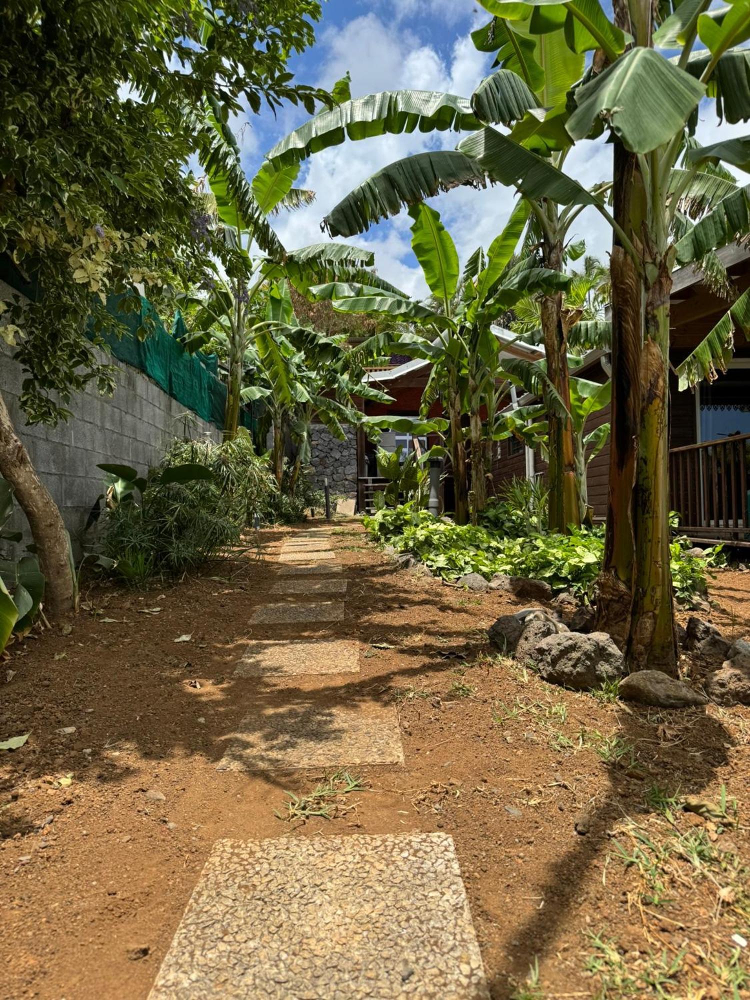La Bananeraie Apt 35M2 Piscine Jardin Tropical Parking Prive Saint-Leu Eksteriør billede